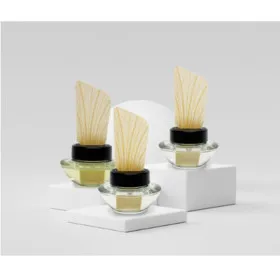 아리아베라 차량용 가정용 디퓨저 1+1