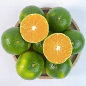 제주 노지감귤 로얄과 4.5kg