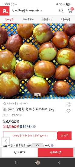 햇 사과대추 2kg
