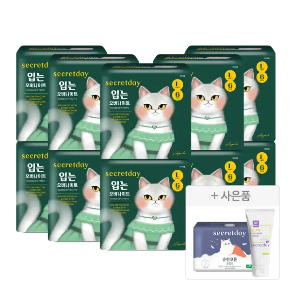 입오버 생리대 10팩