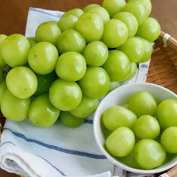 샤인머스켓 2kg 3-4수