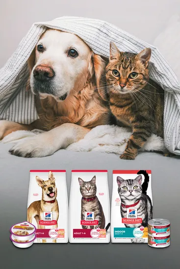 고양이 사료 힐스 어덜트 연어 1.6kg