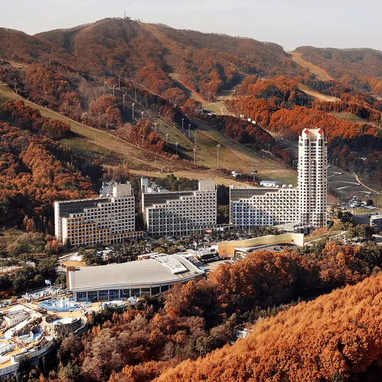 휘닉스 평창 패키지