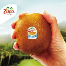 제스프리 골드키위 자이언트 사이즈 3.2kg