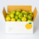 깨비농원 첫수확 제주 타이벡 노지감귤 4.5kg