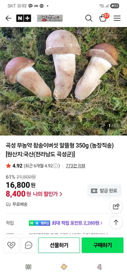 곡성 무농약 참송이버섯 알뜰형 350g