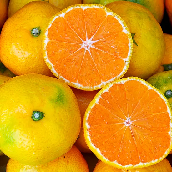 햇 감귤 로얄과 2.5kg