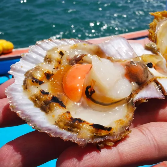 국내산 제철 가리비 3kg