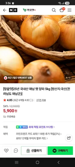 해남 햇양파 5kg