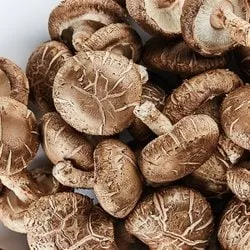 무안 GAP인증 무농약 생표고버섯 못난이 1kg