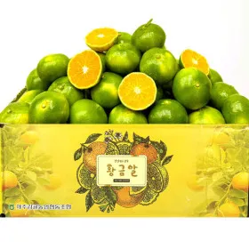 제주 노지 감귤 로얄과 4.5kg