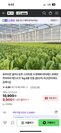 팜마실 유러피안 샐러드상추 스마트팜 수경재배 로메인 1kg 6종 모듬