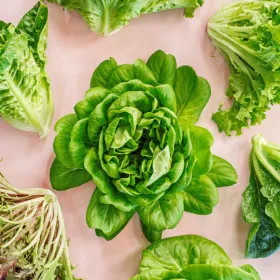 유러피안 샐러드 1kg 3-4종