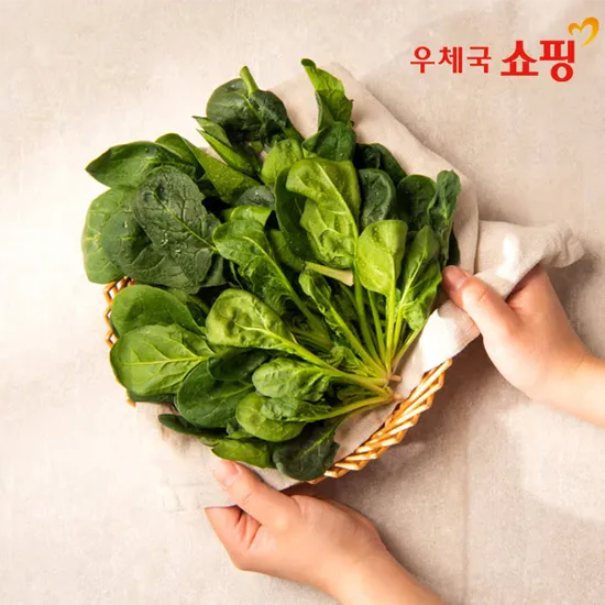 달통농장 영양을 가득담은 시금치_1kg6460원