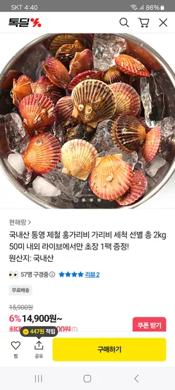 홍가리비 2kg 50미 내외