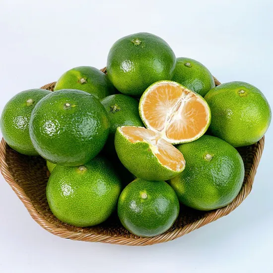 제주감귤 4.5kg 사이즈 S-M