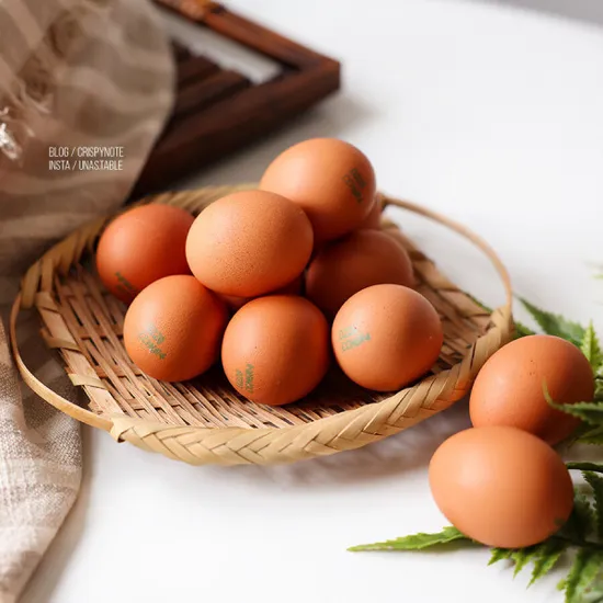 동물복지 유정란 60구