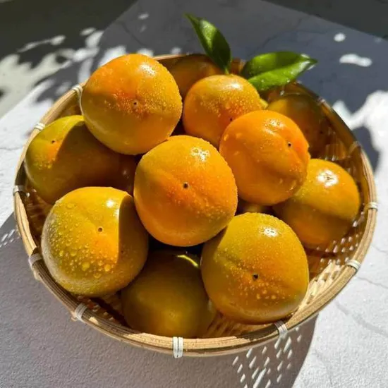 진영단감 햇단감 2.5kg