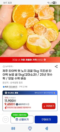 제주 타이벡 노지 감귤 5kg