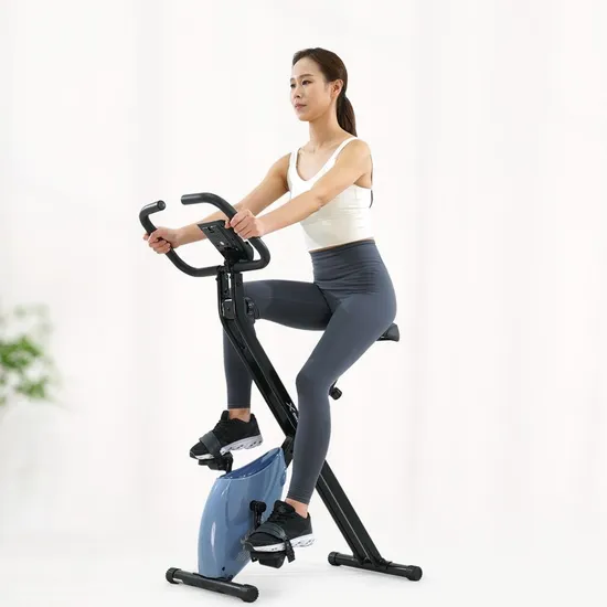 이고진 LPX105 실내 자전거 헬스 사이클