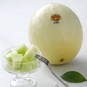 허니듀 멜론 대과 1.8kg 이내 2과