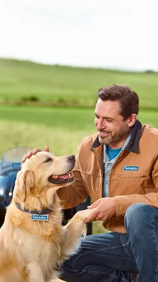 세레스토 진드기 예방 목걸이 S