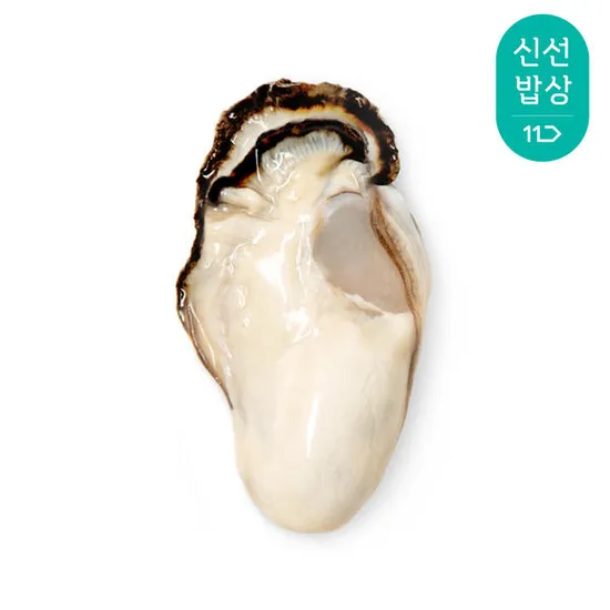 통영산 최상급 통통생굴 1kg