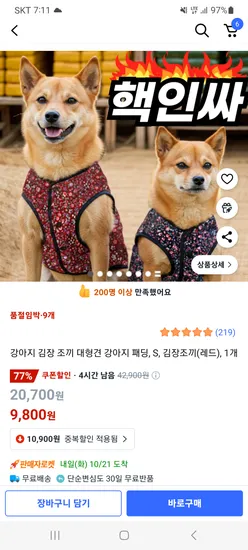 강아지 김장패딩조끼