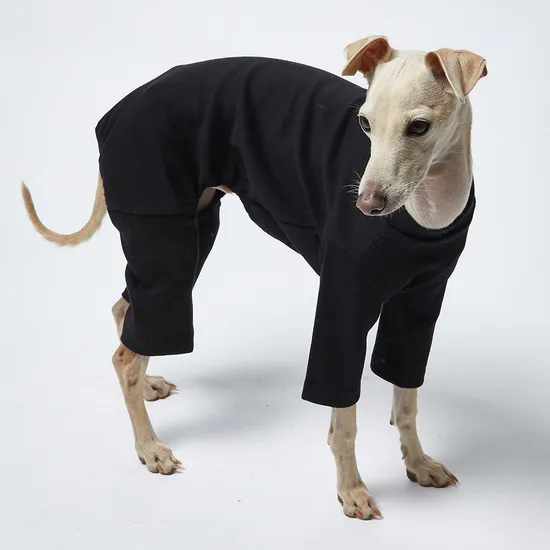 이탈리안 그레이하운드 옷 강아지올인원