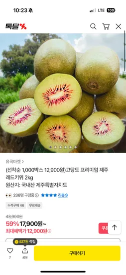 제주 고당도 레드키위 중과 2kg