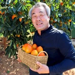 대봉감 5kg 20과내 중대과