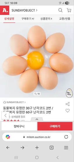 동물복지 유정란 60구 난각코드 2번