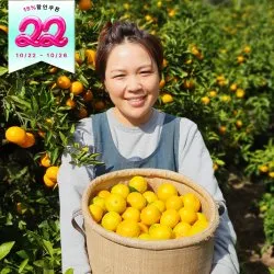 고당도 제주 노지 감귤 5kg 로얄과