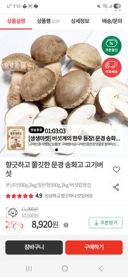 송화고 고기버섯 못난이 500g