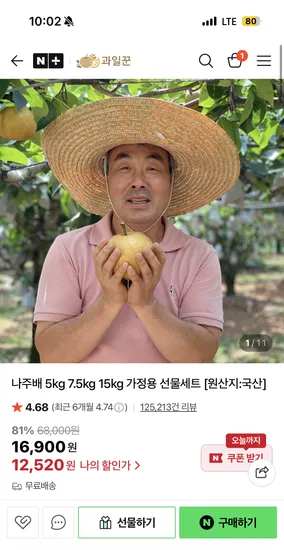 햇 나주배 5kg 10-12과