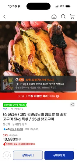 햇 꿀밤고구마 5kg 특상