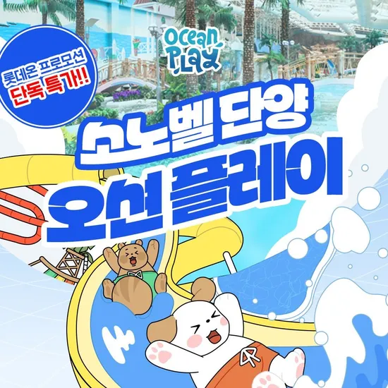 단양 오션플레이 1인 종일권