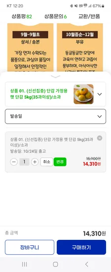 가정용 햇 단감 5kg