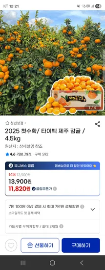 타이벡 제주 감귤 4.5kg