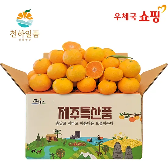제주 제철 극조생 감귤 4.5kg