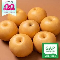 나주배 가정용 5kg 8-9과