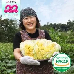 해남 김장 절임배추 20kg