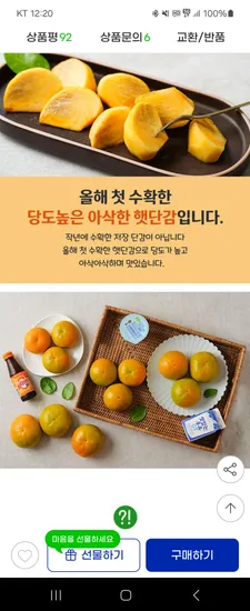 가정용 햇 단감 5kg