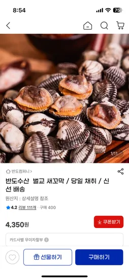 벌교 제철 새꼬막 1kg