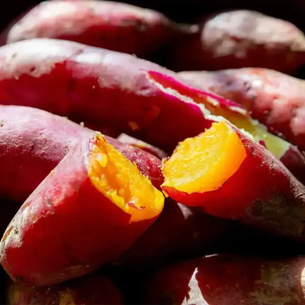 꿀밤고구마 베니하루카 특상 2kg