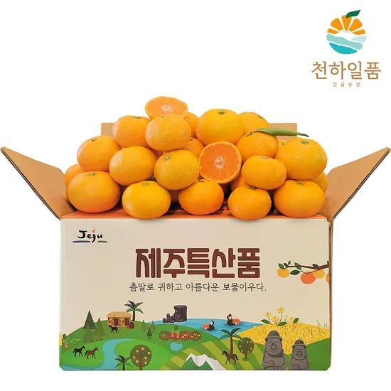 제주 제철 가정용 노지조생 감귤 3kg 로얄중과