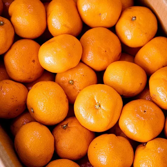 제주도 조생 감귤 9kg 로얄중과