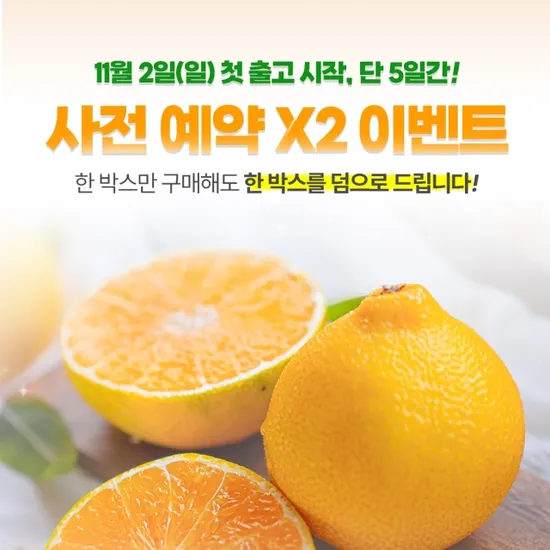 황금향 2.5kg 감귤 대과 2.5kg