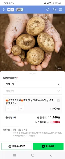 햇감자 조림용 5kg