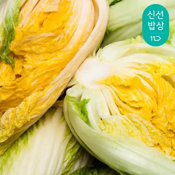 해남 절임배추 20kg 7~10포기